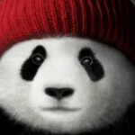 7a4964dbf41dacb87807dba8d566102e