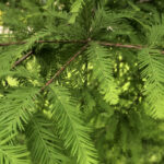 dc9c283698acb4165cf8a60af15699ac