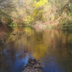 e7a2a0637899c1d86c831ba66a7e1605