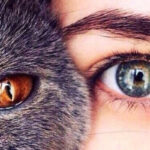 a7ba1c62f0cee084ae00648b5b405bf2